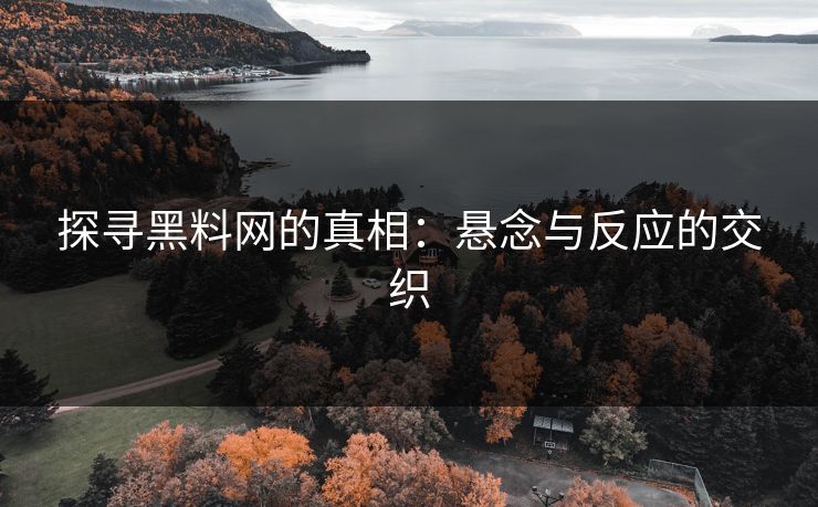 探寻黑料网的真相：悬念与反应的交织
