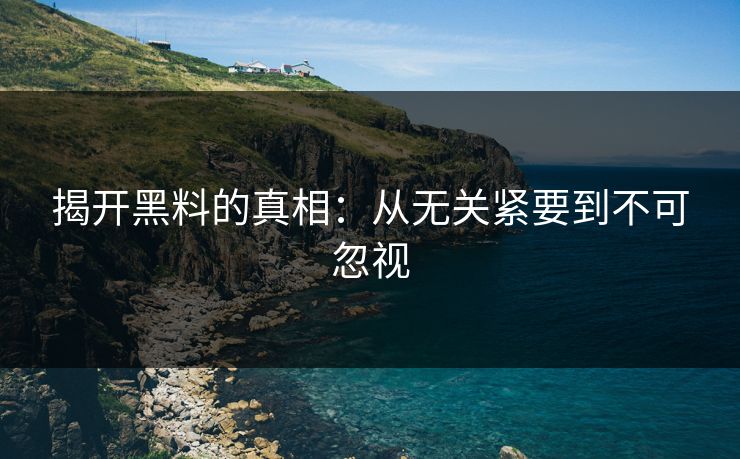 揭开黑料的真相：从无关紧要到不可忽视