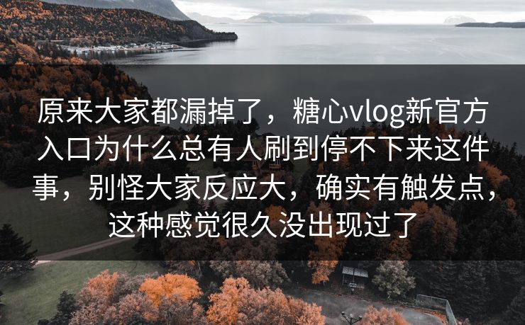 原来大家都漏掉了，糖心vlog新官方入口为什么总有人刷到停不下来这件事，别怪大家反应大，确实有触发点，这种感觉很久没出现过了