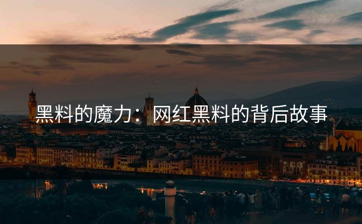 黑料的魔力：网红黑料的背后故事