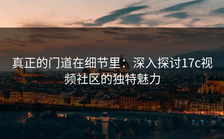 真正的门道在细节里：深入探讨17c视频社区的独特魅力