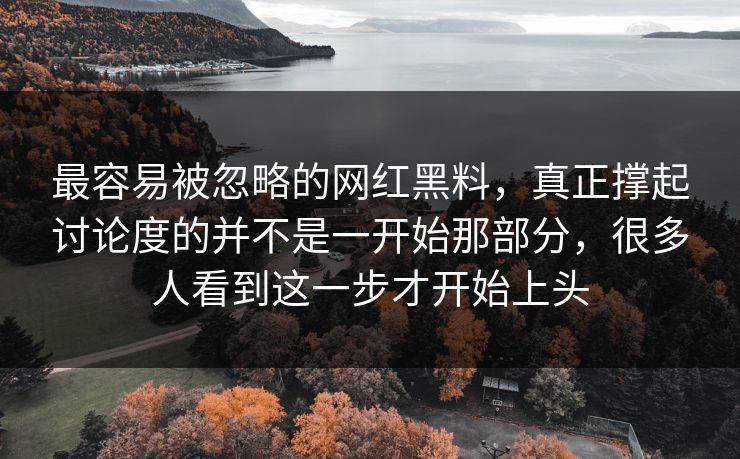 最容易被忽略的网红黑料,真正撑起讨论度的并不是一开始那部分,很多人看到这一步才开始上头