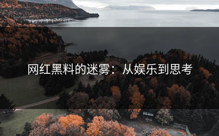 网红黑料的迷雾：从娱乐到思考